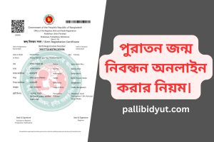 Birth Certificate Online